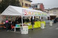 Carnevale 2011 (16)